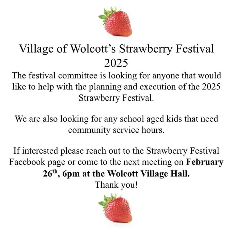 2025 strawberry festival planning